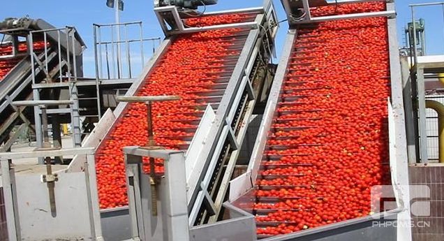 安哥拉番茄酱生产线（含蒸发器）